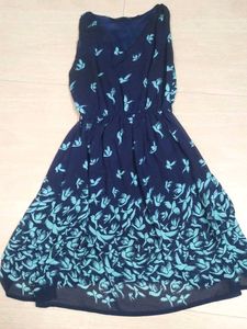 Freedom Navy & Teal Bird Print Dress