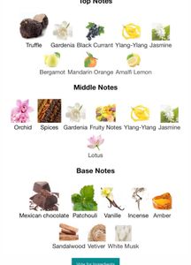 Tom Ford Black Orchid 10ml Sample