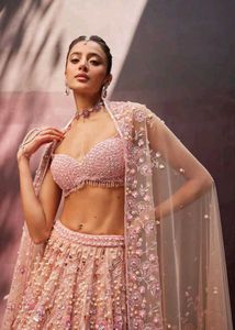 Coral Net Beautiful Lehenga