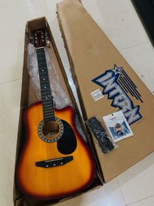 INTERN GUITAR