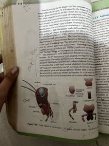 Important Marked NCERT Biology