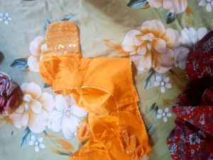 Designer Sleeve Blouse