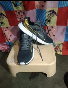 Branded Shoes 👟 Adidas Nike Puma