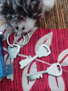 Dyna Lock with Keys