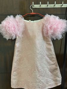 Pink Tulle Sleeve Dress