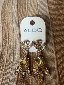 ALDO classy versatile Earrings