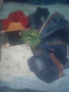 4 Jackets 10 Half Jeans  In Good Condition