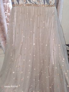 Beautiful Ethenic Partywear Gown