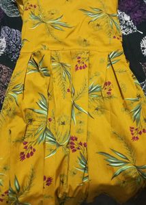 Mustard Colour Fit And Flare Dress