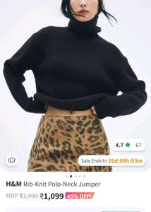 Last Deal H&M UNUSED Polo Neck Jumper Crop