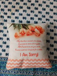 I Am Sorry Pillow | Small Cushion