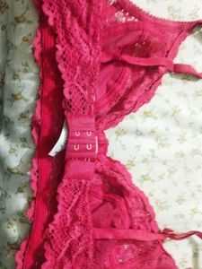 Dress Berry Bra