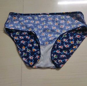 Printed Brief