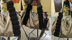 hand bag