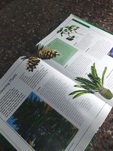 Book Of Plants - An Encyclopedia