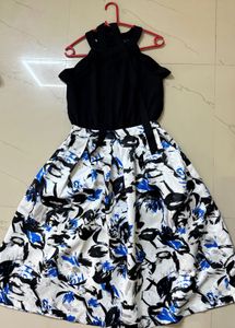Floral Print Fit & Flare Dress