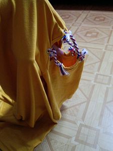 Best Quality T Shirt