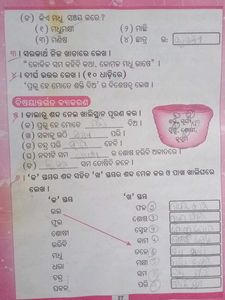 Ama Pilanka Bhasa Sahitya