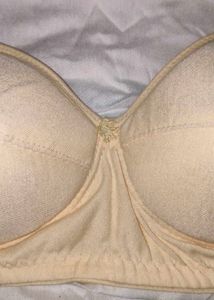 Comfortable Everyday Padded Cotton Bra ⚡