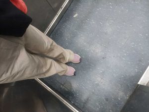 formal pant