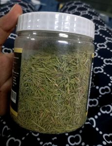 Viral Offer Sale💥💫 Rosemary