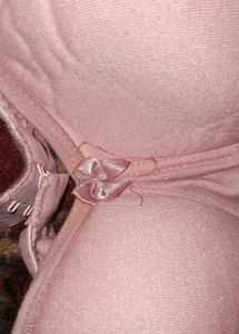 Elegant Pink Slightly Padded Bra