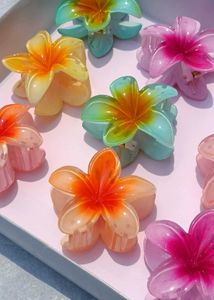 Claw Clips