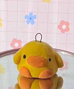2 Cute Couple Ducks