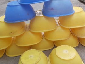Soup Bowls (17)Yellow 💛 Blue 💙 Colour