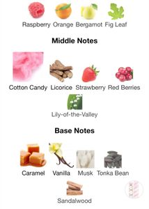 Combo Estee Lauder Pleasures around 85/100ml+ A