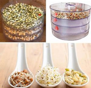 Sprout Maker with 4 Compartments