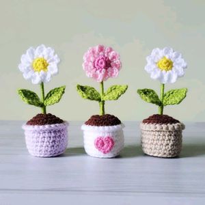 Daisy flower pot table decor
