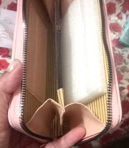 Clutch/Wallet
