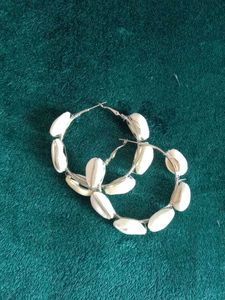 Cowrie Shell Earings