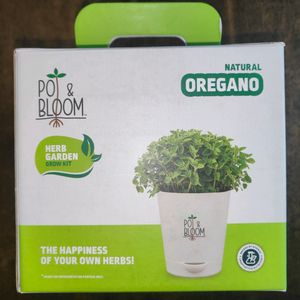 Pot and Bloom Italian Basil Plant Gardening Kit|