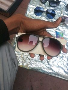 Sunglasses Collection