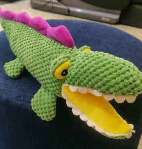 Imported Alligator 🐊 Sound Toy