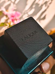 Lalique Encre Noire EDT 🖤