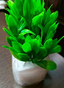 Artificial Plant 4 Piece