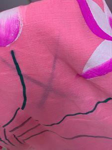 Pink Saree New With Tag