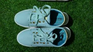 Light Blue Casual Shoes