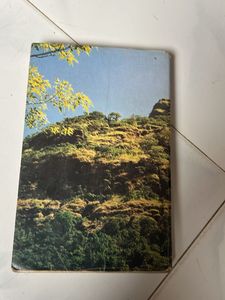 Historic Novel