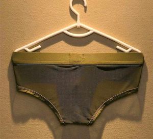 Mesh see through Briefs