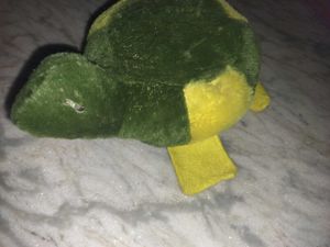 Turtle Plush Toy
