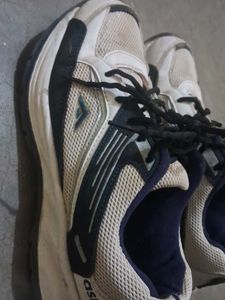 Sports Sneakers