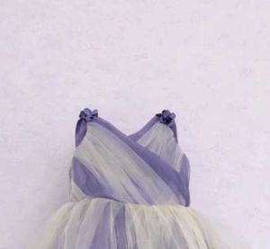 Elegant Lavender Tulle Dress