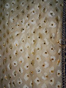 Festive Saree