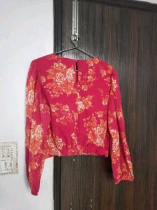 Sassafras Crop Top