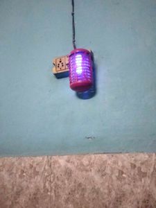 Bodycare Mosquito Killer