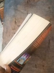 Wings Of Fire (Darkness Dragons) Fiction Bo